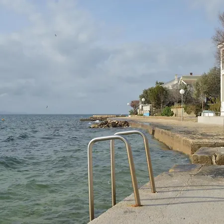 Ana Diklo * Zadar